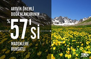 Artvin’de maden talanı: Doğa ve tarım yok ediliyor - Resim : 2