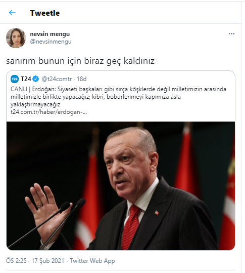 Nevşin Mengü'den Erdoğan'a sırça köşk yanıtı: Geç kaldınız - Resim : 1