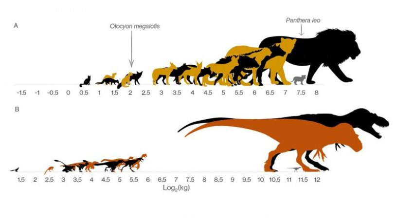 Dinozor çeşitliliğinin az olması kimin suçu? Bilim insanları yanıt verdi - Resim : 1