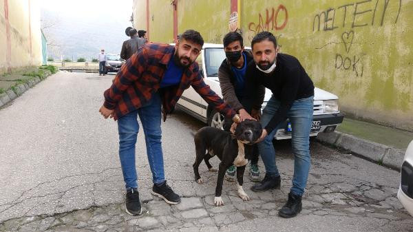 Bursa'da dehşete düşüren olay! 2 kişinin tecavüz etmeye çalıştığı kadını esnaf kurtardı - Resim : 1