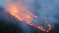 Muğla'da art arda orman yangınları