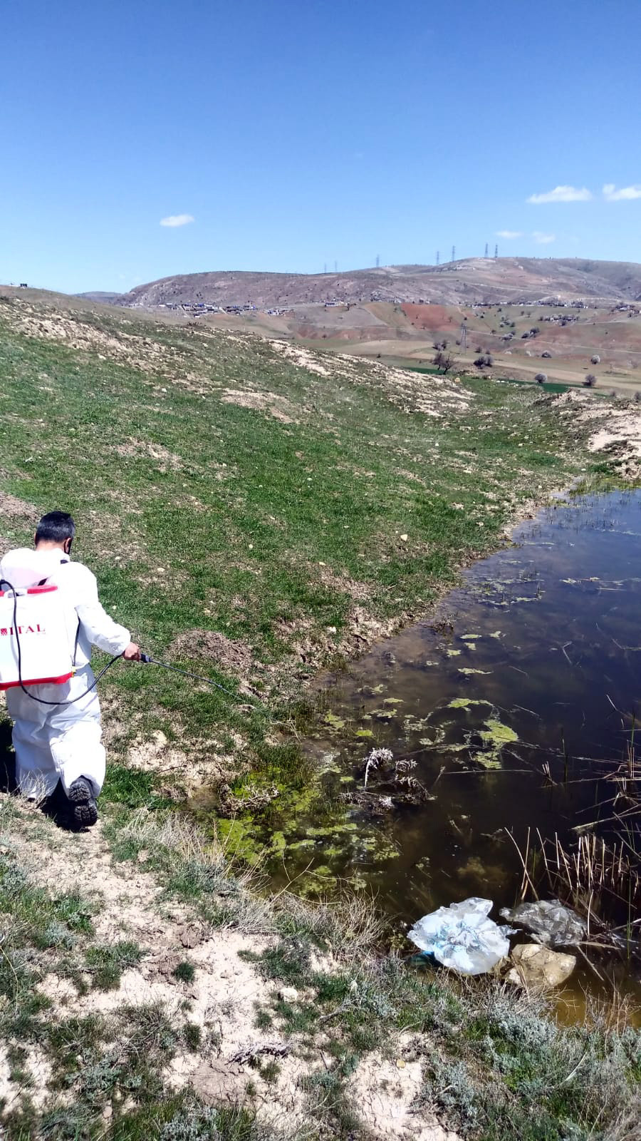 Yenimahalle'den sulak alanlarda larva mücadelesi - Resim : 1