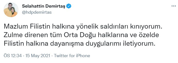 Demirtaş'tan Filistin mesajı: Saldırıları kınıyorum - Resim : 1