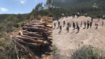 ‘Geçiş garantili’ otoyol için taş ocağı: Şirket ağaç katliamı yaptı, köylüler tesisi bastı