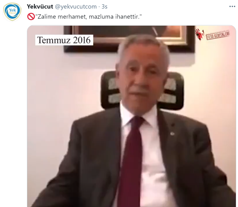 Pelikan'dan yeni video: Bu defa hedef Bülent Arınç! - Resim : 1