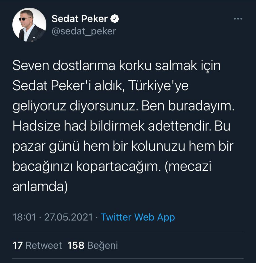 Sedat Peker: Bu pazar hem kolunuzu hem bacağınızı koparacağım! - Resim : 1