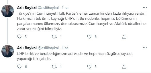 Aslı Baykal'dan parti kuracağı iddialarına yanıt - Resim : 2