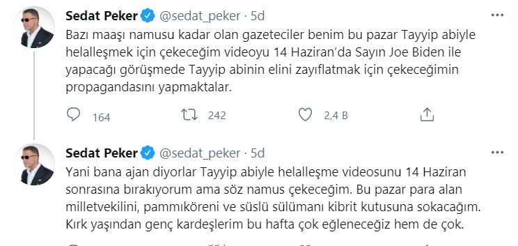 Sedat Peker ‘Tayyip abi ile helalleşme’ videosunu yayınlamaktan vazgeçti, 14 Haziran sonrasını işaret etti - Resim : 1