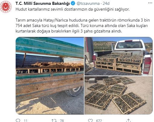 MSB: Hatay'da traktör römorkunda tespit edilen 3 bin 754 Saka kuşu doğaya bırakıldı - Resim : 1