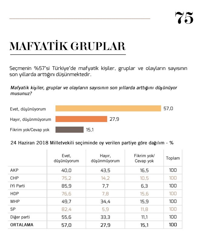 Son ankette AKP seçmeninden itiraf gibi 'mafya' cevabı! - Resim : 1