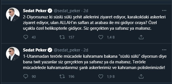 Sedat Peker: Siz gerçekten ya safsınız ya malsınız - Resim : 2