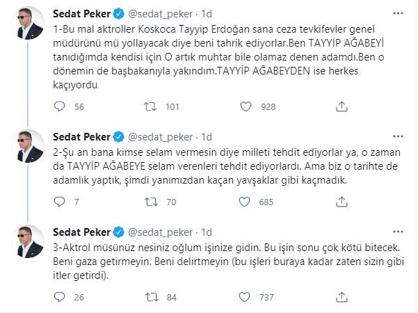 Sedat Peker'den Erdoğan isyanı: Tayyip ağabeyden herkes kaçıyordu - Resim : 1