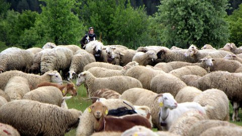 'Köylü kızı Nurgül'e takipçi yağıyor - Resim : 3