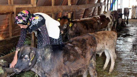 'Köylü kızı Nurgül'e takipçi yağıyor - Resim : 4