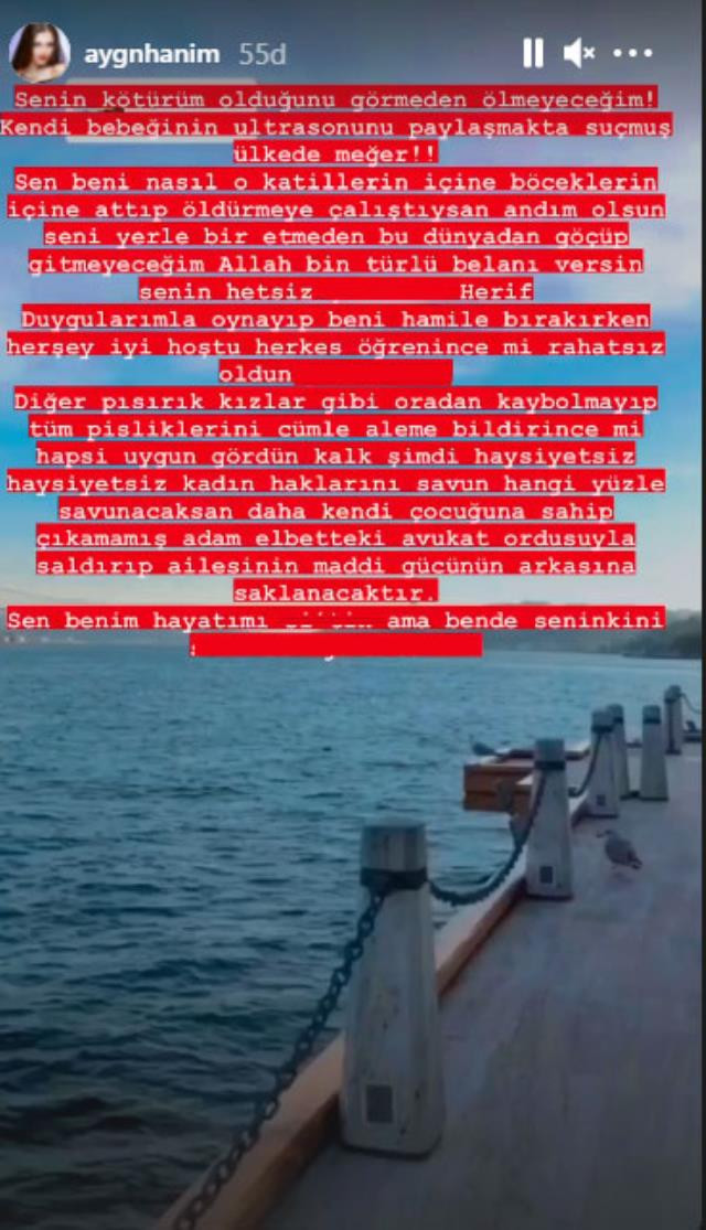 Aygün Aydın, Hakan Sabancı'ya küfür yağdırdı: Beni hamile bırakırken iyiydi! - Resim : 1