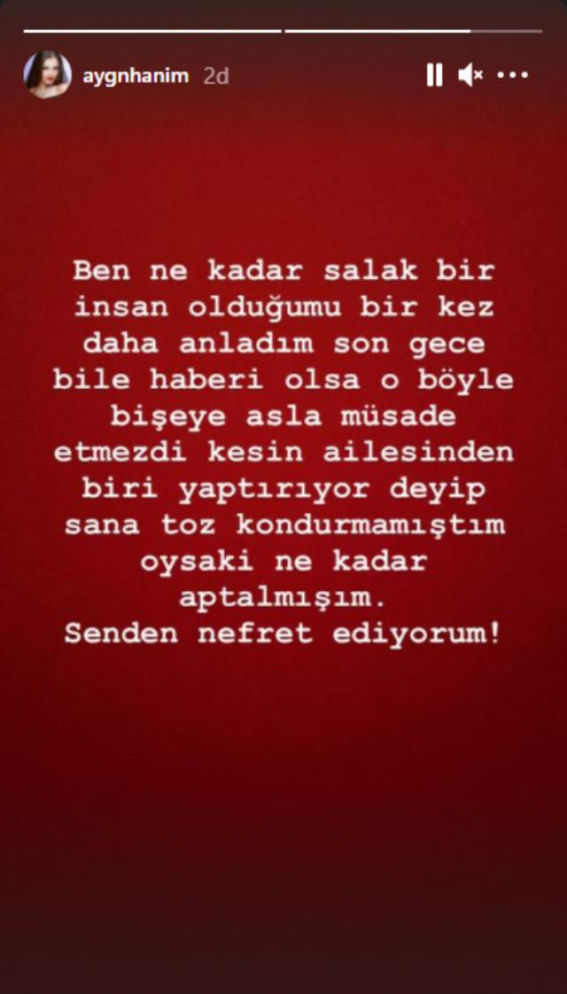 Aygün Aydın, Hakan Sabancı'ya küfür yağdırdı: Beni hamile bırakırken iyiydi! - Resim : 2