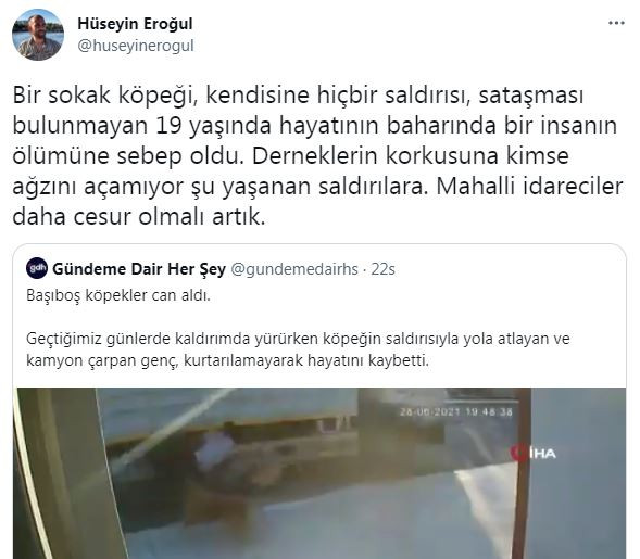 Köpek saldırısından kendini korudu, karakolluk oldu - Resim : 1