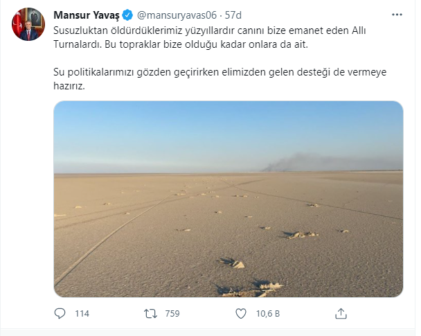 Mansur Yavaş'tan flamingo ölümlerine ilişkin açıklama: Destek vermeye hazırız - Resim : 1