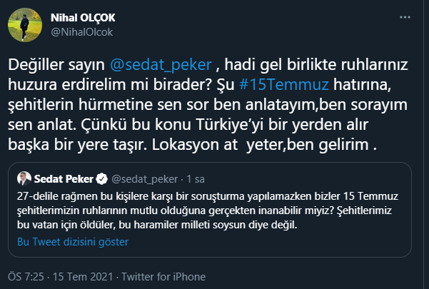 Nihal Olçok'tan Sedat Peker'e flaş çağrı: Bu konu Türkiye’yi başka bir yere taşır - Resim : 1