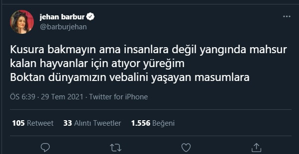 Jehan Barbur'un yangın paylaşımına tepki yağdı! - Resim : 1