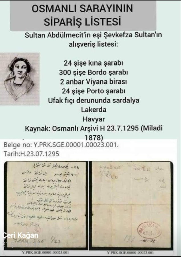Abdülhamit Kayıhan Osmanoğlu Atatürk'ü hedef aldı, belgeyi görünce sus pus kaldı! - Resim : 2