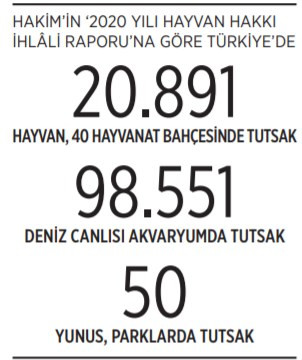 Hayvanat bahçeleri 'hapishane' oldu! - Resim : 1