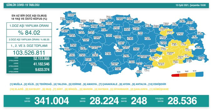 Türkiye'de koronavirüsten 248 kişi daha hayatını kaybetti! Vaka sayılarındaki artış sürüyor - Resim : 1