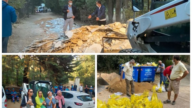 AKP'li Üsküdar Belediyesi iş makineleri ile girmişti: İşte Validebağ Korusu'nda yaşananlar