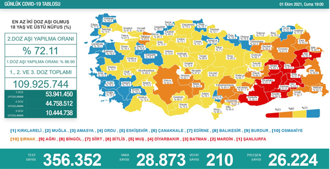 Türkiye'de koronavirüsten 216 kişi daha hayatını kaybetti! Vaka sayısı düşmüyor - Resim : 1