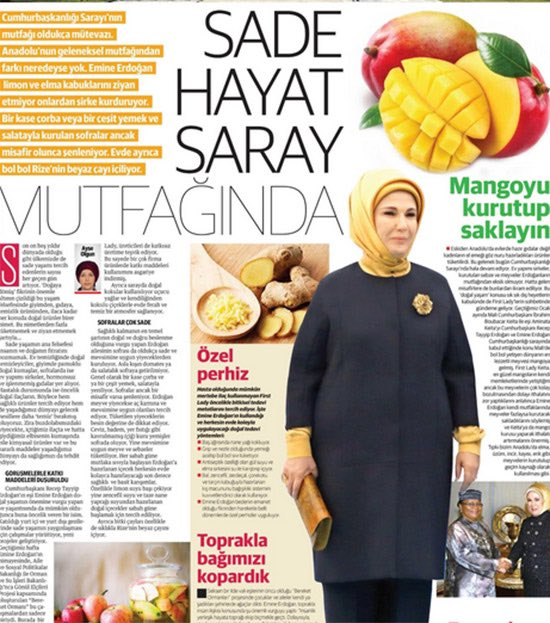 Emine Erdoğan'ın tasarruf önerisi tepki çekti: Mangoyu kurutup saklayın - Resim : 1