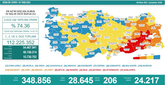 Türkiye'de koronavirüsten 206 kişi daha hayatını kaybetti! 28 bin 645 yeni vaka var - Resim : 1