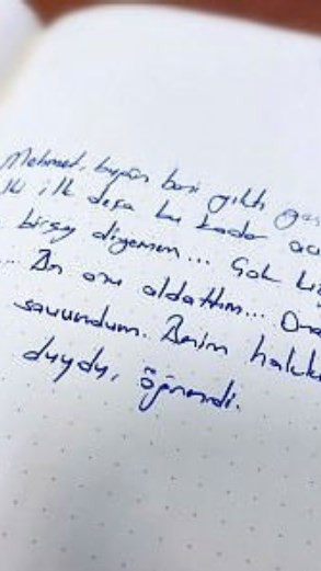 Nasıl aldatıldığını satır satır okudu: Gerçekleri günlük ortaya çıkardı - Resim : 1