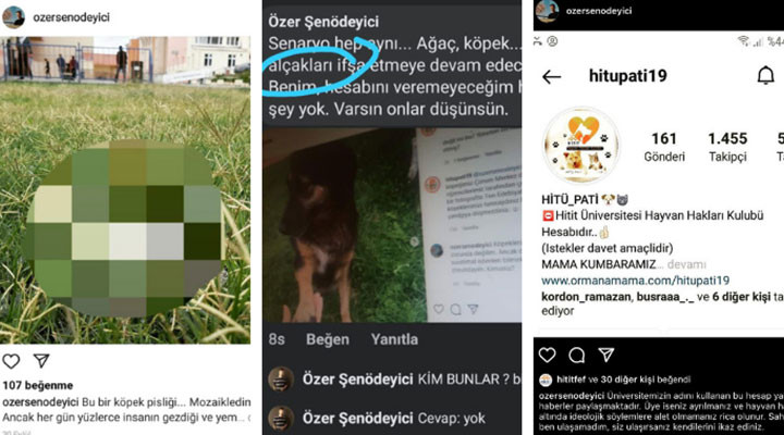 Dekan, 'ifşa etmeye devam edeceğim' diyerek hayvan haklarını hedef aldı? - Resim : 1