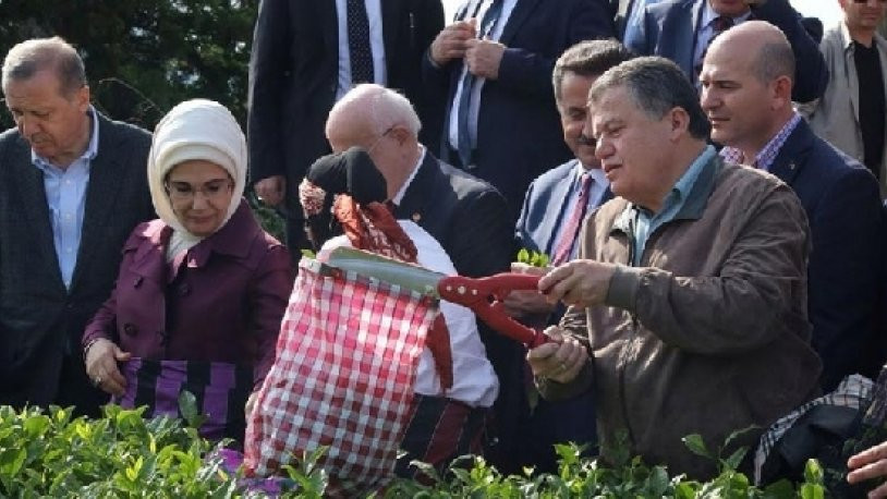 Cemil Çiçek yargıçları topa tuttu: Çay toplamaya, zeytin toplamaya bile gidiyorlar - Resim : 1