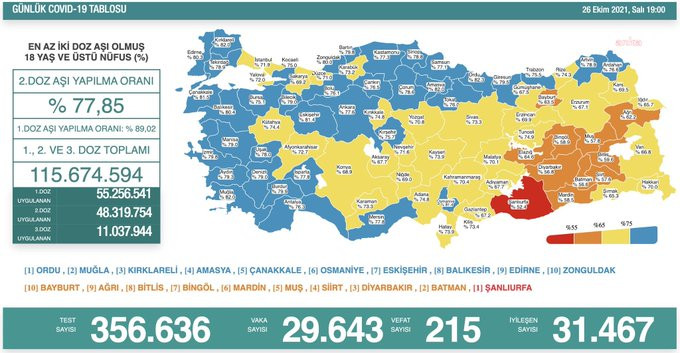 Türkiye'de koronavirüsten 215 kişi daha hayatını kaybetti! Vaka sayısı yeniden 30 bine yaklaştı - Resim : 1