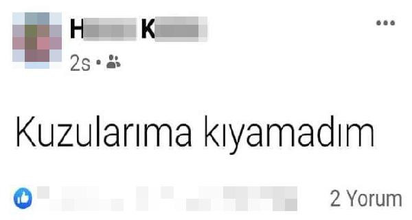 Evli olduğu kadını öldürdü, 'Kuzularıma kıyamadım' deyip teslim oldu - Resim : 1