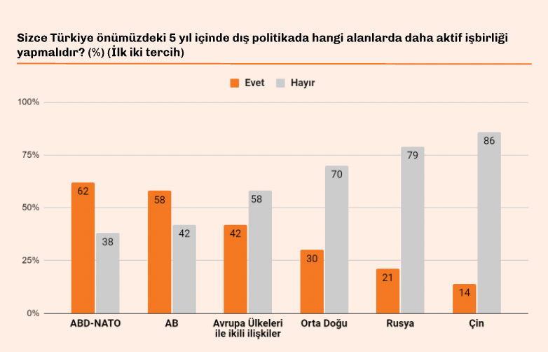 Dikkat çeken anket: AKP’li gençler hangi ülkelerle işbirliği yapılmasını istiyor? - Resim : 1