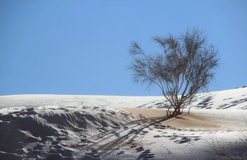 Sahra Çölü'ne yağan kar, seyirlik manzaralar oluşturdu - Resim : 1