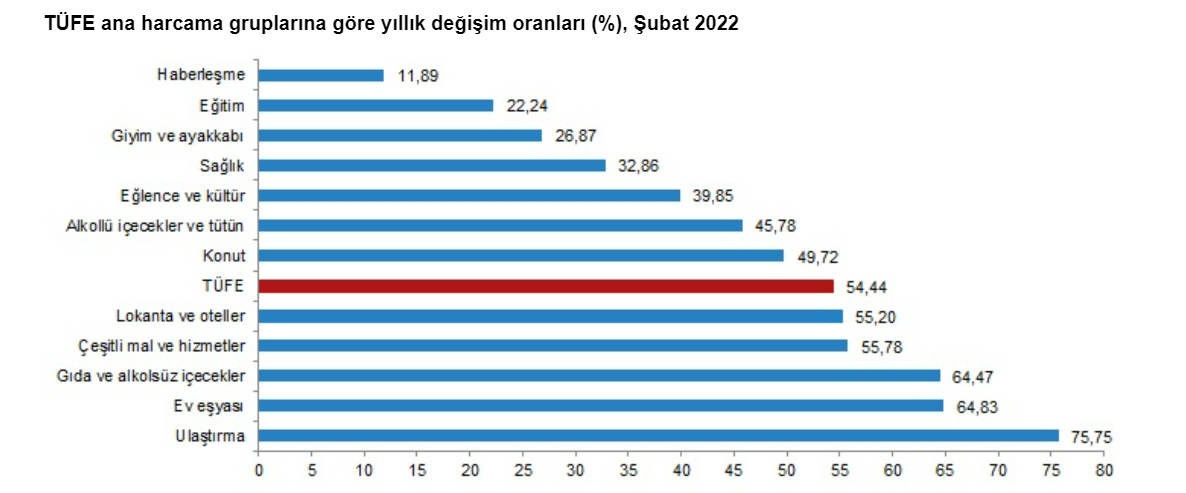 ÜFE yüzde 100'ü, TÜFE yüzde 50'yi aştı! Enflasyon durdurulamıyor - Resim : 2