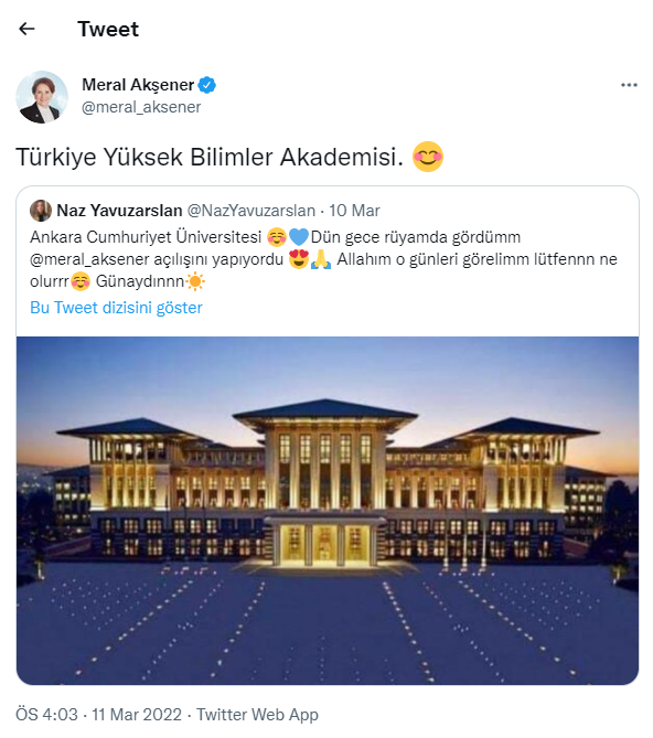 Genç kadın rüyasını anlattı, Meral Akşener iktidara geldiğinde Saray'a ne yapacağını açıkladı! - Resim : 2