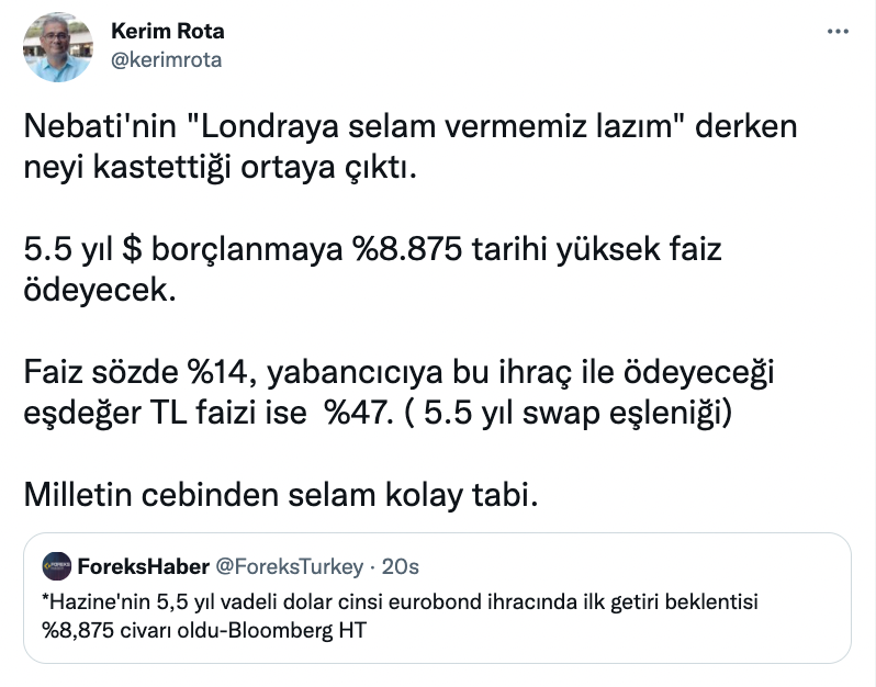 Ekonomist Kerim Rota: Nebati'nin 'Londraya selam vermemiz lazım' derken neyi kastettiği ortaya çıktı - Resim : 1