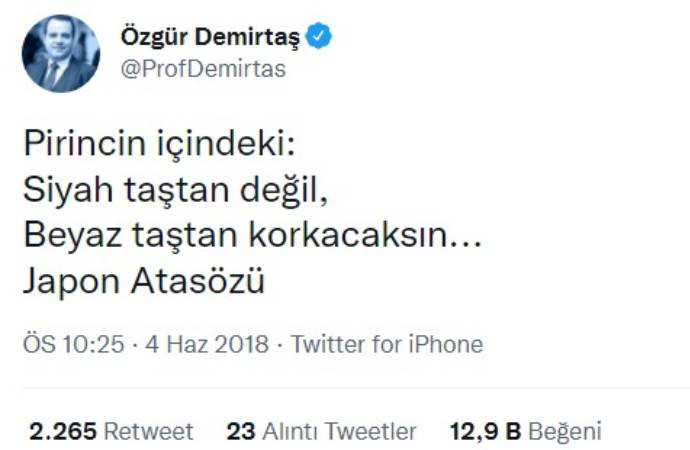 'Japon atasözü' krizi: Japon Youtuber yalanladı, Özgür Demirtaş'tan cevap geldi - Resim : 1