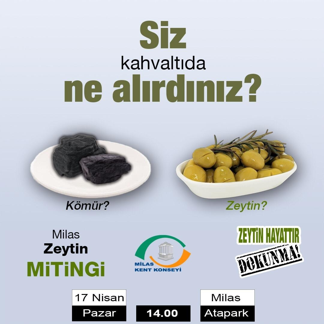 Milas Kent Konseyi'nden zeytin mitingine çağrı - Resim : 1