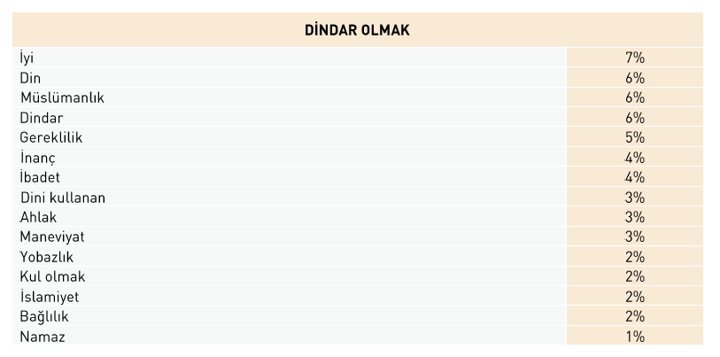 Kürt seçmen ve dindarlık: HDP ile AK Parti seçmeni ayrışıyor mu? - Resim : 2