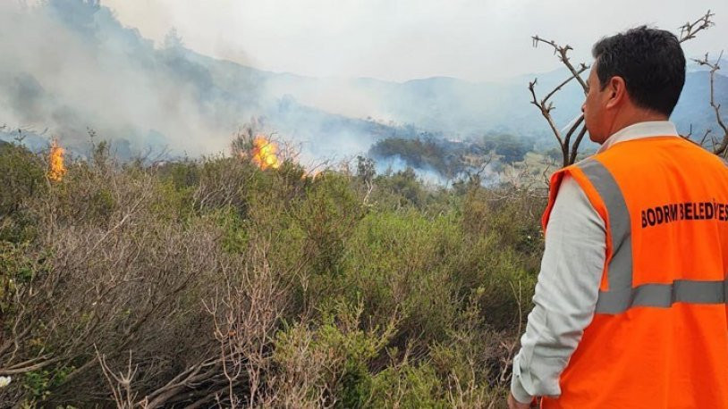 Bodrum Belediye Başkanı Aras'tan yangın açıklaması: Bir sabotajın sonucu gibi görünüyor, yapılaşma hayallerine geçit vermeyeceğiz