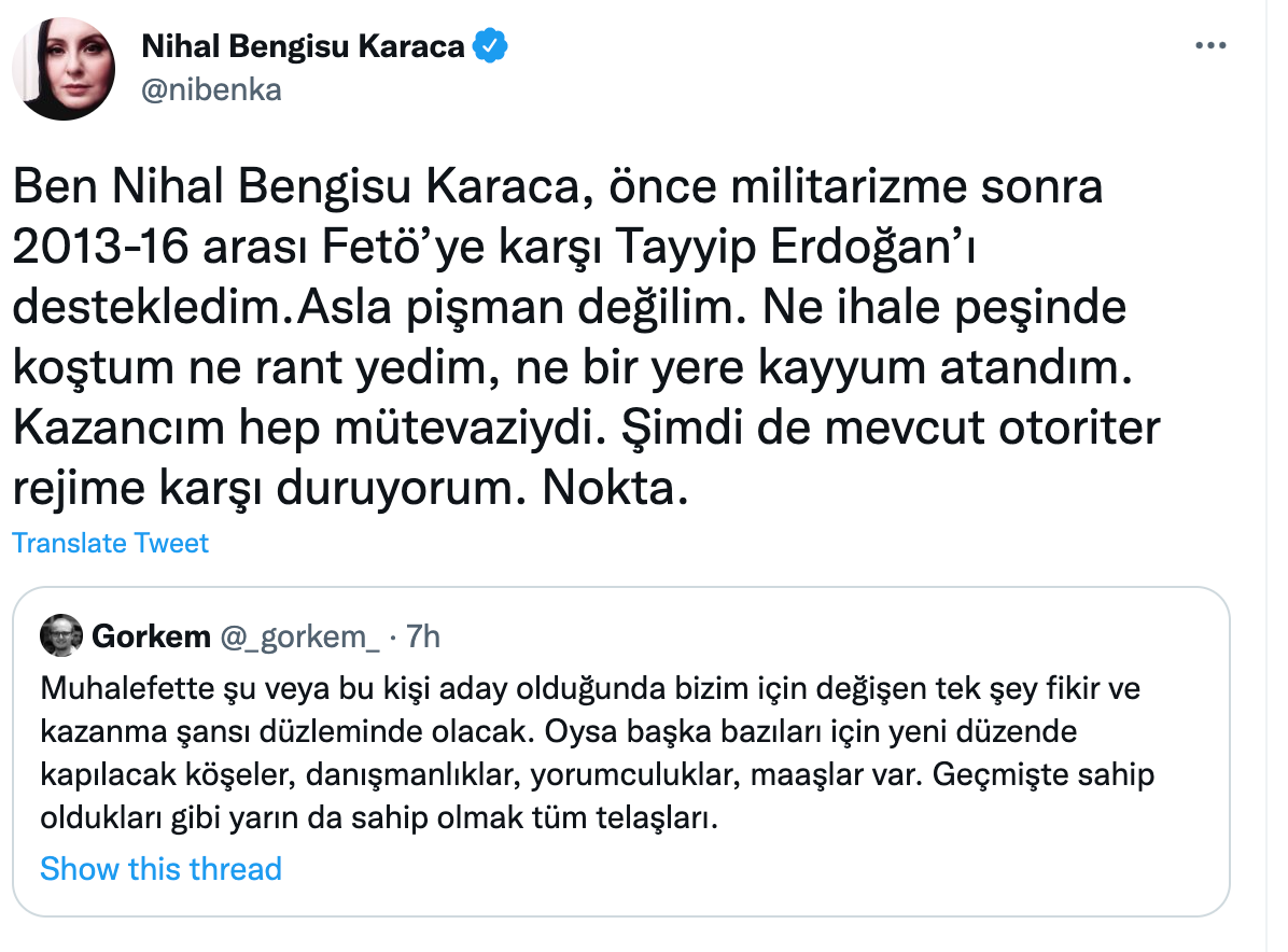 Nihal Bengisu Karaca: Mevcut otoriter rejime karşı duruyorum - Resim : 1