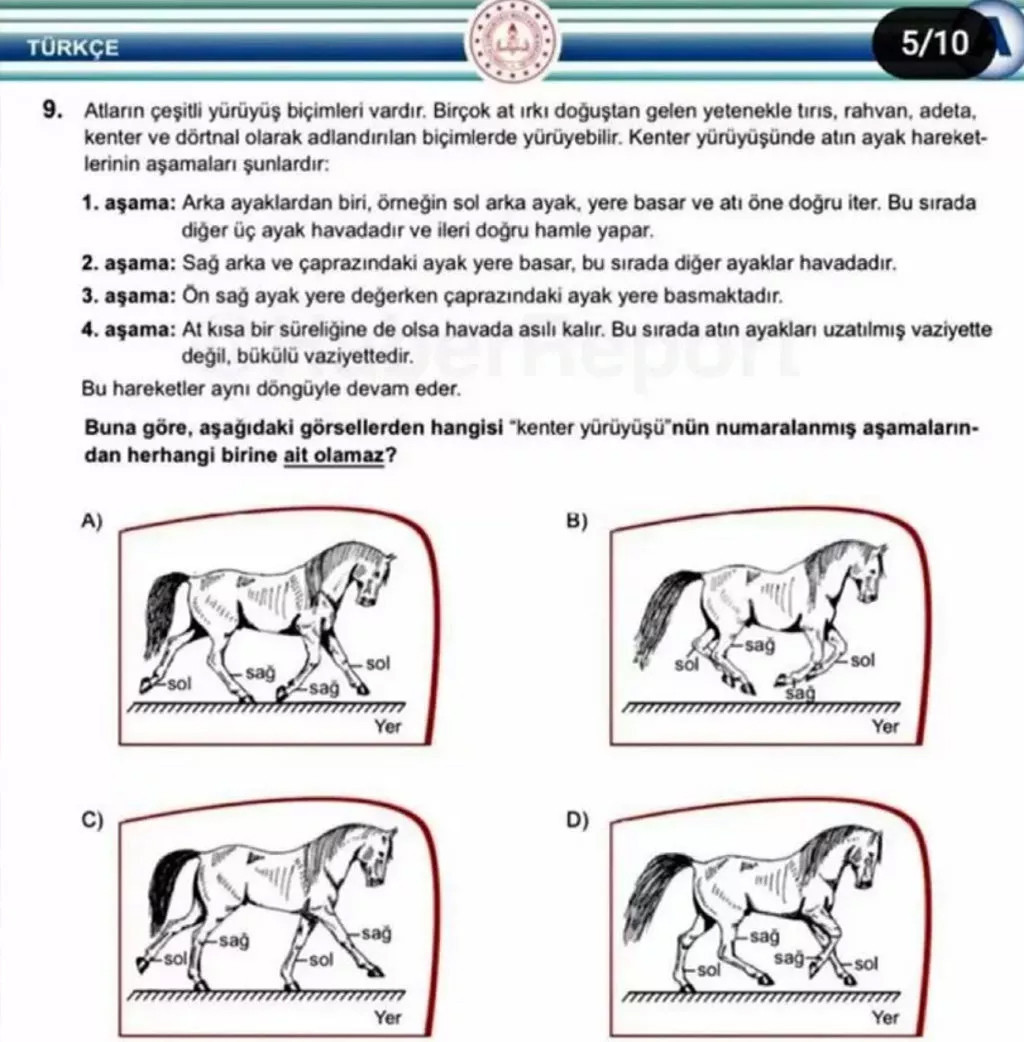 LGS’de tartışma yaratan ‘at sorusu’: Kimi skandal dedi, kimi mantıklı buldu - Resim : 1