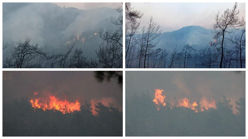 Marmaris'te orman yangını: Resmi koruma alanı ilan edilen bölgenin yüzde 20'si yandı!