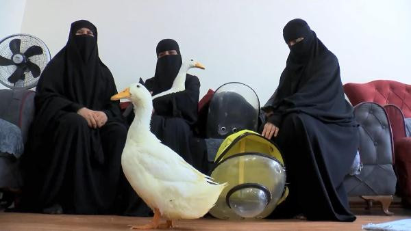 Başakşehir'de göletteki ördekleri çaldığı iddia edilen kadın konuştu - Resim : 1