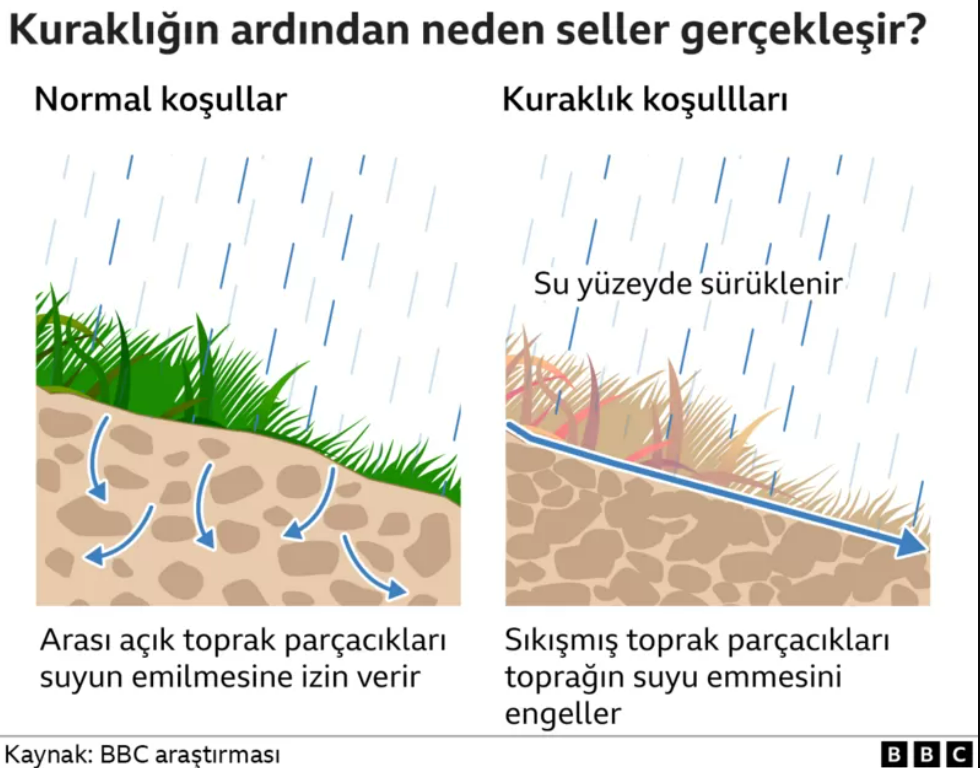 Kuraklık sonrası yağmurlar neden sel baskınlarına neden oluyor? - Resim : 1